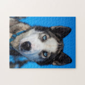 Alaska Husky. Puzzle (Horizontal)