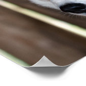 Alaska Husky Sled Dog Beautiful Art Print Poster (Ecke)