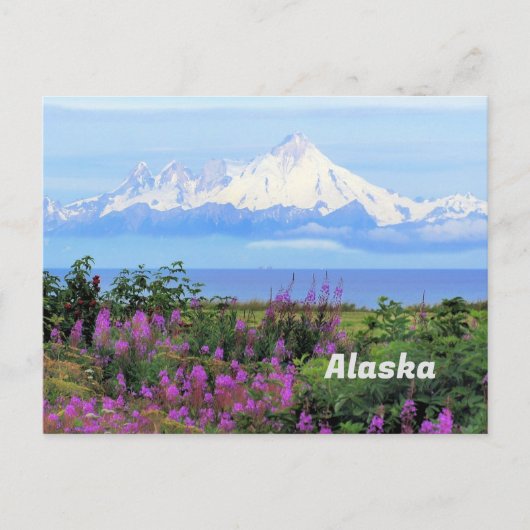 Alaska, Iliamna-Gletscher und Blume für Feueralgen Postkarte (Vorderseite)
