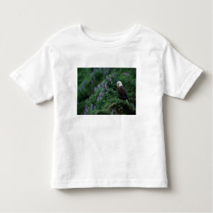 Alaska, Insel Unalaska, Adler Bald unter Nootka Kleinkind T-shirt