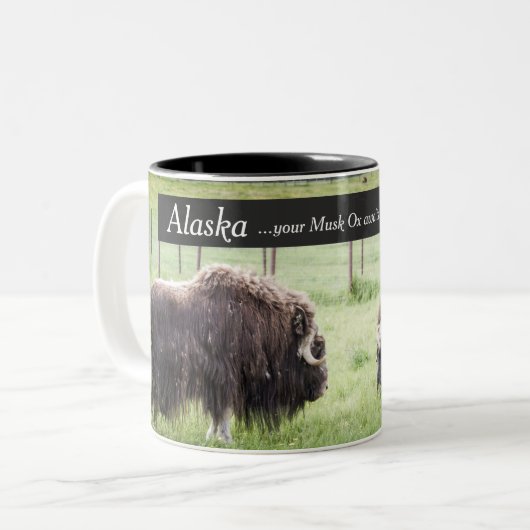 Alaska-Kaffee-Tassen - Moschus-Ochse erwartet Zweifarbige Tasse (Vorderseite Links)