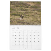 Alaska-Kalender 2012 Kalender (Mär 2026)