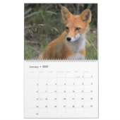 Alaska-Kalender Kalender (Jan 2027)