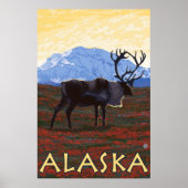 Alaska - Karibik Poster (Vorne)