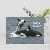 Alaska Killer Whale Foto Geburtstag Einladung (Stehend Vorderseite)
