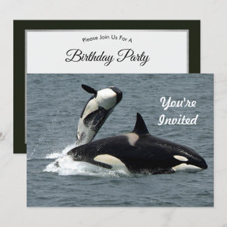 Alaska Killer Whale Foto Geburtstag Einladung