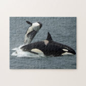 Alaska Killer Whale Orca Foto Puzzle (Horizontal)
