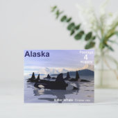 Alaska Killer Whales Briefmarke Postkarte (Stehend Vorderseite)