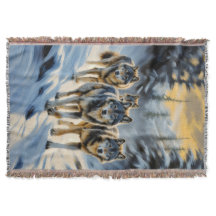 Alaska Landscape Wild Wolf Pack Winterlandschaft