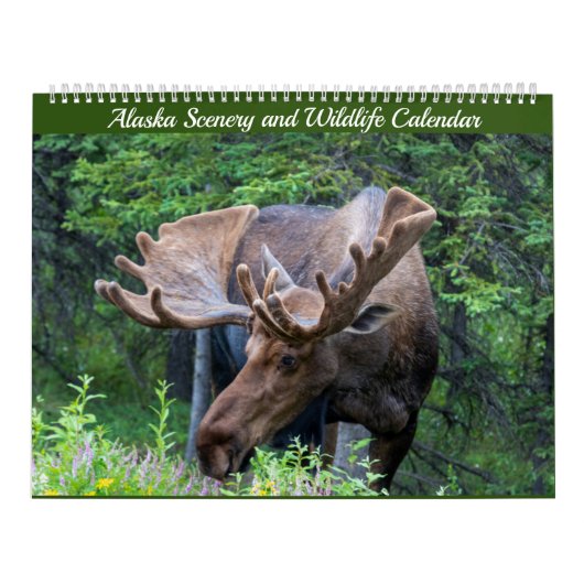 Alaska-Landschaft und Naturkalender Kalender (Titelbild)