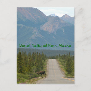 Alaska Landschaftlich Postcard Postkarte
