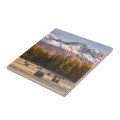 Alaska-Landwirtschaft Fliese (Seite)