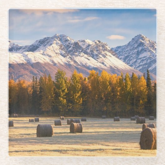 Alaska-Landwirtschaft Glasuntersetzer (Vorderseite)