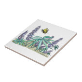 Alaska Lupine Watercolor Fliese (Seite)