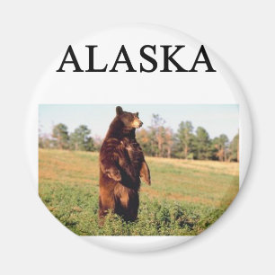Alaska Magnet