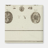 Alaska Magnet (Vorne)