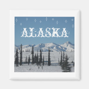 ALASKA-MAGNET MAGNET