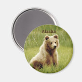 Alaska Magnet mit Grizzly Bärenkuppe (Vorderseite/Rückseite)