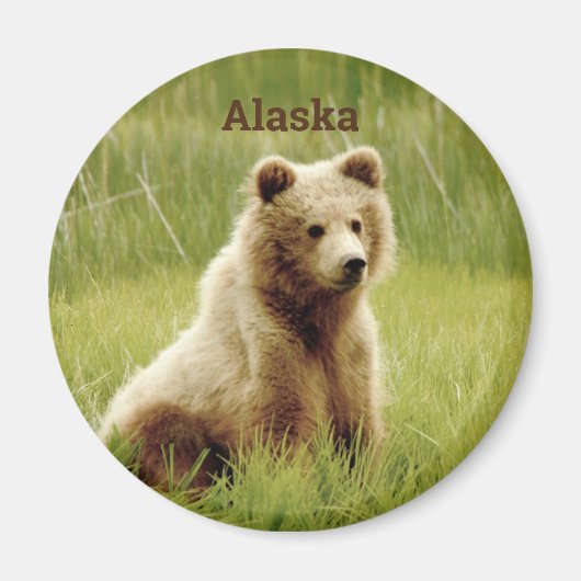 Alaska Magnet mit Grizzly Bärenkuppe (Vorne)