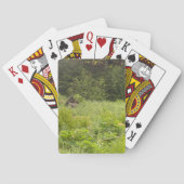 Alaska Moose Poker Card Deck Spielkarten (Rückseite)
