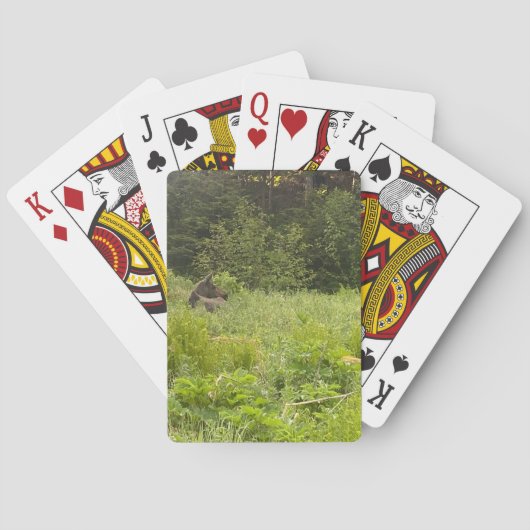 Alaska Moose Poker Card Deck Spielkarten (Rückseite)