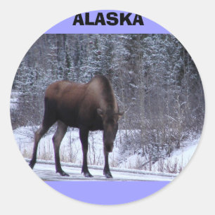 Alaska Moose Runder Aufkleber
