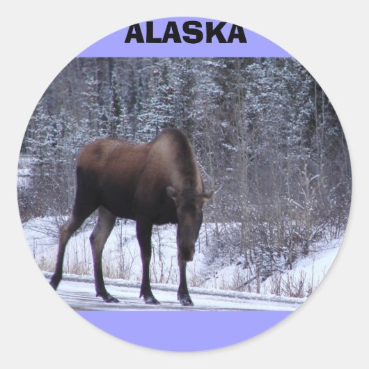Alaska Moose Runder Aufkleber (Vorderseite)