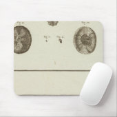 Alaska Mousepad (Mit Mouse)