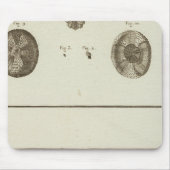 Alaska Mousepad (Vorne)