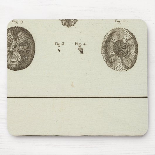 Alaska Mousepad (Vorne)