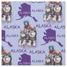 Alaska Musher und seine Hunde