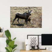 Alaska-Mutter-Elch mit Kalb Poster (Heimbüro)