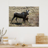 Alaska-Mutter-Elch mit Kalb Poster (Küche)
