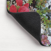 Alaska, Nationalpark Denali, Arktische Tundra ist Mousepad (Ecke)