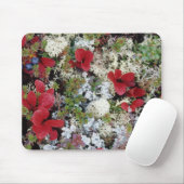Alaska, Nationalpark Denali, Arktische Tundra ist Mousepad (Mit Mouse)