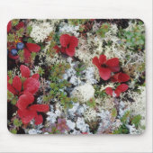Alaska, Nationalpark Denali, Arktische Tundra ist Mousepad (Vorne)