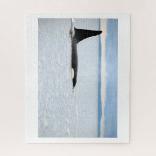 Alaska - Orca Puzzle
