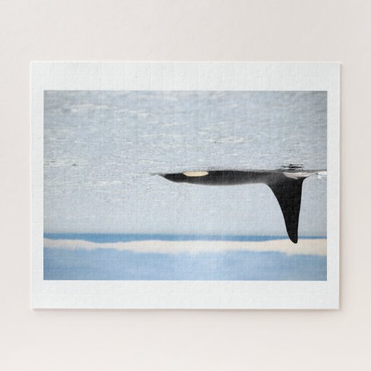 Alaska - Orca Puzzle (Horizontal)