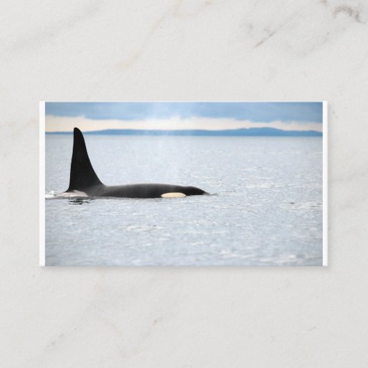 Alaska - Orca Visitenkarte (Vorderseite)