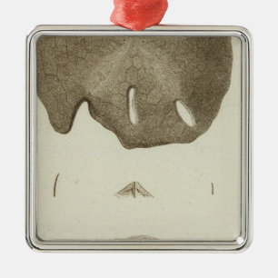 Alaska Ornament Aus Metall