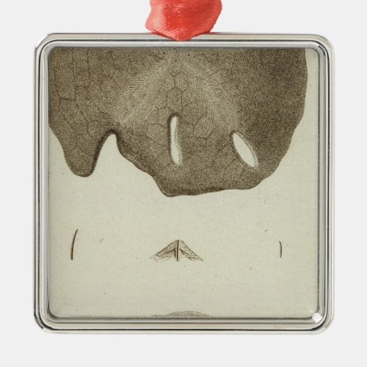 Alaska Ornament Aus Metall (Vorne)
