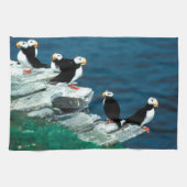 Alaska-Papageientaucher versahen bunte Vögel mit Geschirrtuch (Horizontal)