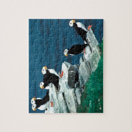 Alaska-Papageientaucher versahen bunte Vögel mit Puzzle (Vertikal)