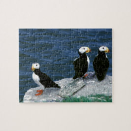 Alaska-Papageientaucher versahen bunte Vögel mit Puzzle