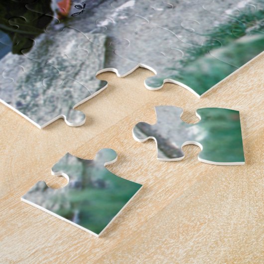 Alaska-Papageientaucher versahen bunte Vögel mit Puzzle (Seite)