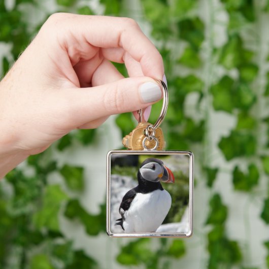 Alaska-Papageientaucher versahen bunte Vögel mit Schlüsselanhänger (Hand)