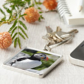 Alaska-Papageientaucher versahen bunte Vögel mit Schlüsselanhänger (Seite)