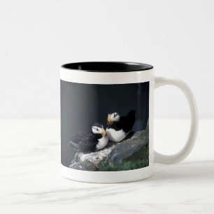 Alaska-Papageientaucher versahen bunte Vögel mit Zweifarbige Tasse