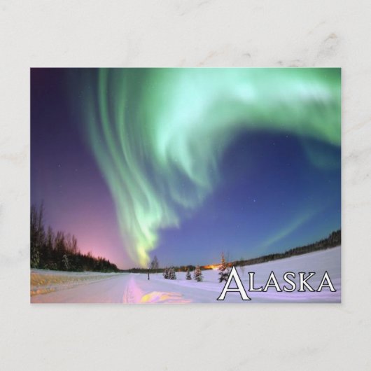 Alaska Postcard Postkarte (Vorderseite)