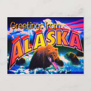 Alaska Postcard Postkarte